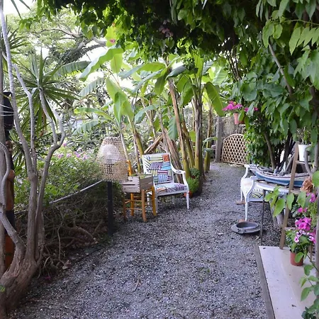Apartment Pepa House *